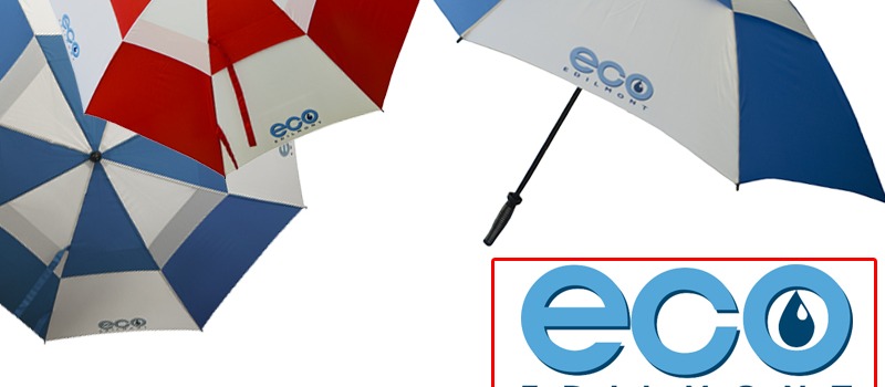 PROGETTO STAMPA LOGO "ECO EDILMONT"