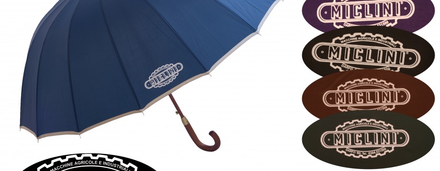 Progetto Stampa Logo "Miclini" 