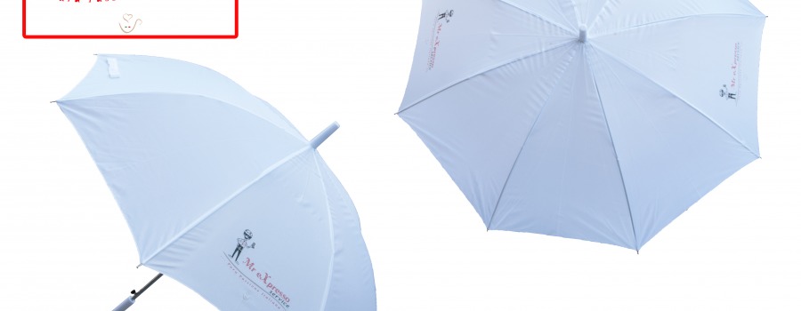 Progetto Stampa Logo "Mr eXpresso" 